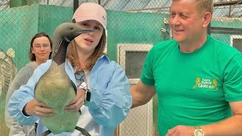 Благодаря слаженной работе Совета Министров Крыма и команды Олега Зубкова у нас ЛУЧШИЕ РЕЗУЛЬТАТЫ!! смотреть онлайн