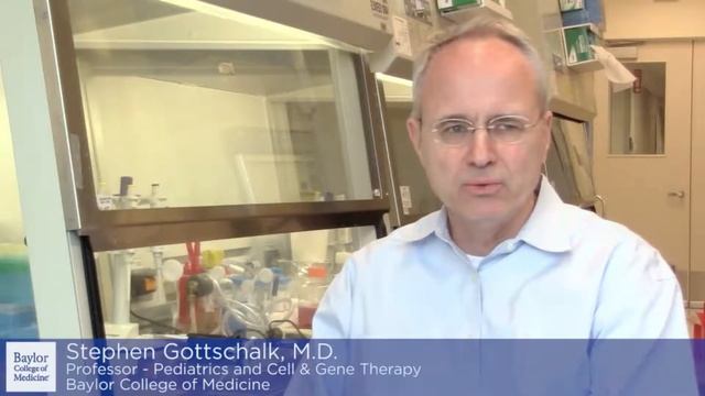 IINN Grand Rounds: "Chirmerica Antingen Receptor CAR T Cell Therapy for Gliblastoma" смотреть онлайн