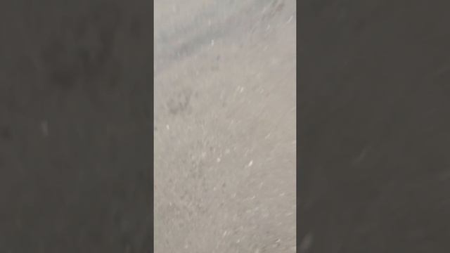 Колян идёт домой из фестиваля (часть 1).+ обзор лука смотреть онлайн