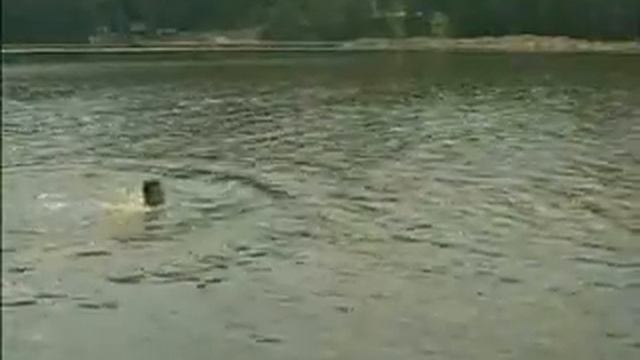 Безопасность на воде смотреть онлайн