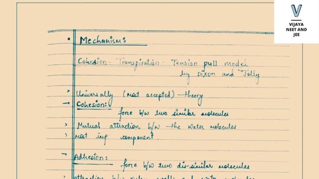 NEET Biology ( Transport in Plants ) Topper's Notes for exam preparation | NEET Study notes смотреть онлайн