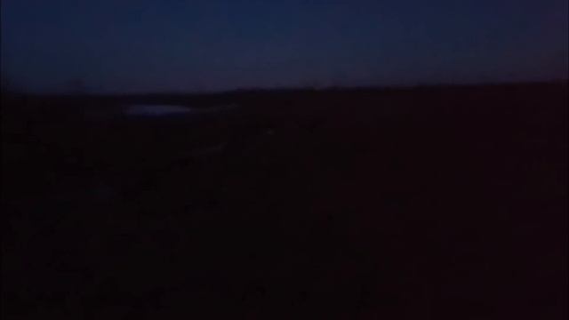 ВЕСНА/ ПРОГУЛКА С ЛАЙКОЙ/ смотреть онлайн