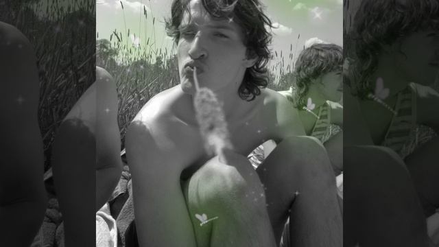 Glühwürmchen смотреть онлайн