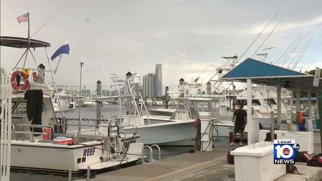 Shots fired at Haulover Beach marina over fishing disagreement смотреть онлайн