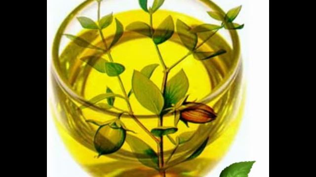 Jojoba Oil Health Benefits смотреть онлайн