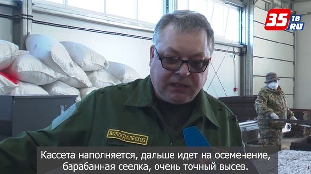 Более 6 млн семян хвойных деревьев посеют в Вологодском селекционном центре смотреть онлайн