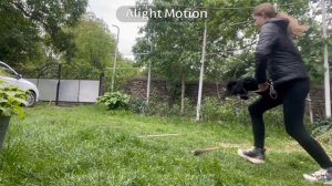 🤯 2 тренировки //😈 новый БУЙНЫЙ хорс // хоббихорсинг