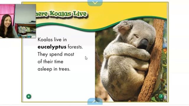 Koalas Nonfiction смотреть онлайн