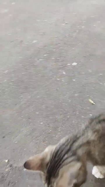 красивая киска вернулась смотреть онлайн