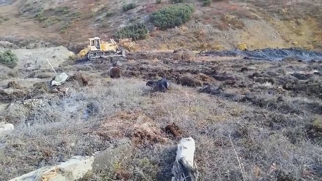 Самый обычный день в России смотреть онлайн