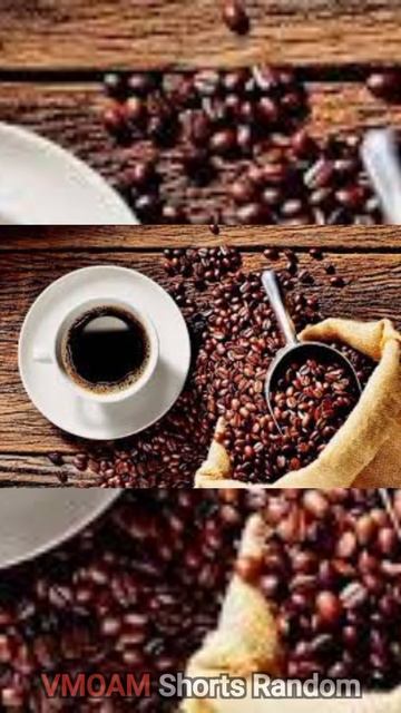 Sejarah kopi di Vietnam #51 смотреть онлайн