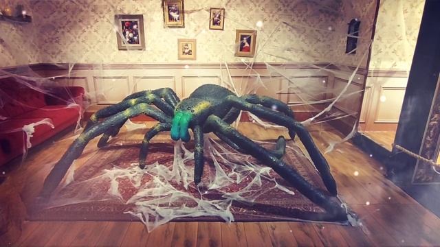 Выставка насекомых ( Герцлия ) смотреть онлайн