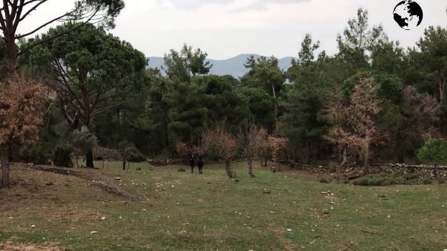 Şehirden Köye Göçen BEYAZYAKALI🖊 Ekmeğini Daş’tan Çıkarıyor(Kuvars Kristal,Dumanlı,Morion çıkardık) смотреть онлайн