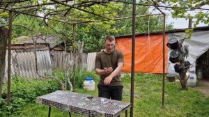 Как избавиться от мошек. ЭТО РЕАЛЬНО РАБОТАЕТ! Средство защиты от мошек для людей любого возраста!