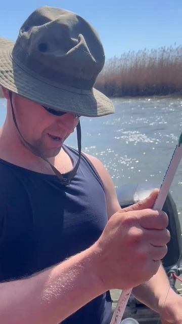 #Астрахань #карп #сазан 2025