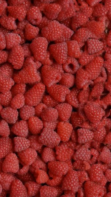 Ночная трель Соловья#shorts смотреть онлайн