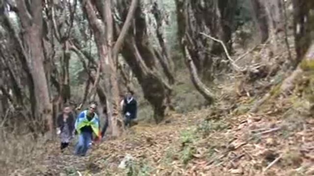 limbuwan idol's musical tour/tinjure