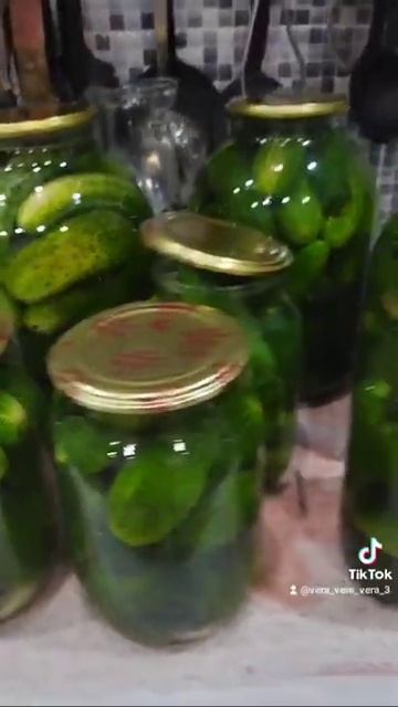 солим огурчики!!!! 👌👌👌👌👌