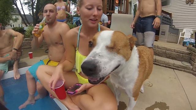 #GoPro Party 2k14 (kels) смотреть онлайн