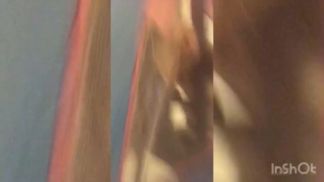 ДВЕ СЕСТРЁНКИ ВЕСЕЛЯТСЯ В ДОМИКЕ СВИНКИ ПЕППЫ смотреть онлайн