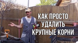 Как удалить крупные корни дерева