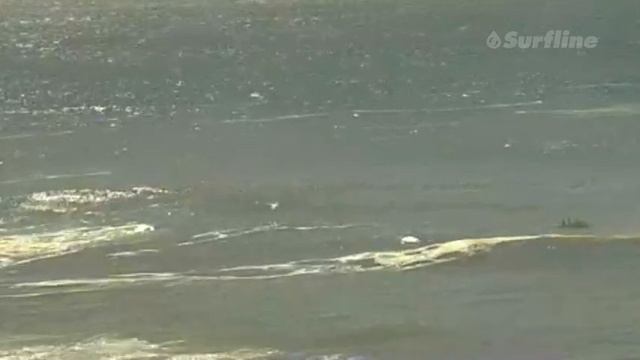 Live Maverick's Cam смотреть онлайн