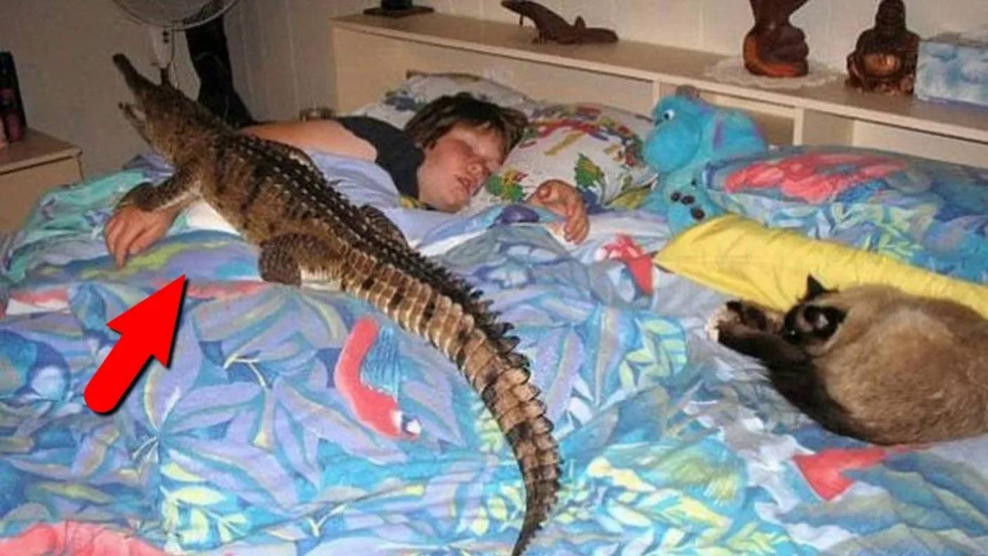 Самые необычные домашние животные. И зачем люди их заводят!? смотреть онлайн