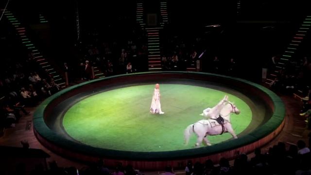 "Белорусские наездники" под руководством Бориса Лазарова смотреть онлайн