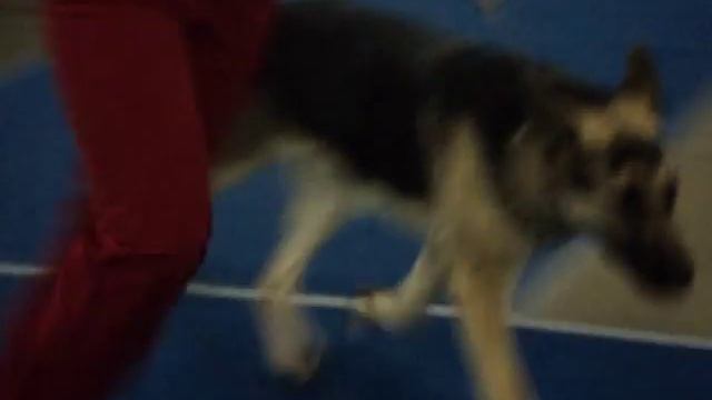 Даная смотреть онлайн