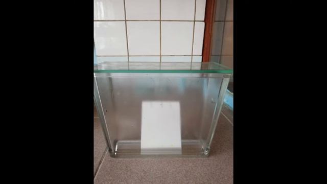 Тонкослойная хроматография смотреть онлайн