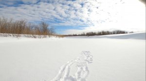 Любимая река. Рыбалка на хариуса с зятем. День первый. 14.04.2025