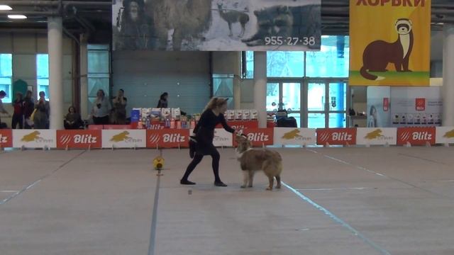 Кротова Любовь и Арту. Дебют-фристайл смотреть онлайн