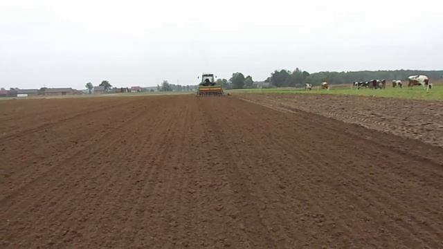 Siew żyta / Sowing rye / Aussaat Roggen 2013 | MF 3090 + AgroMasz + Amazone D7 |HD| смотреть онлайн