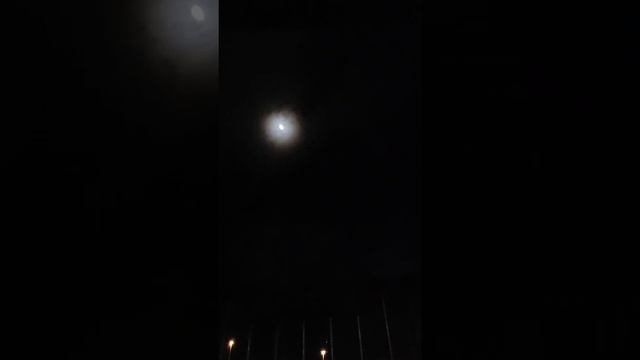 Night fishing / Ночная рыбалка, эксперимент со свининой смотреть онлайн