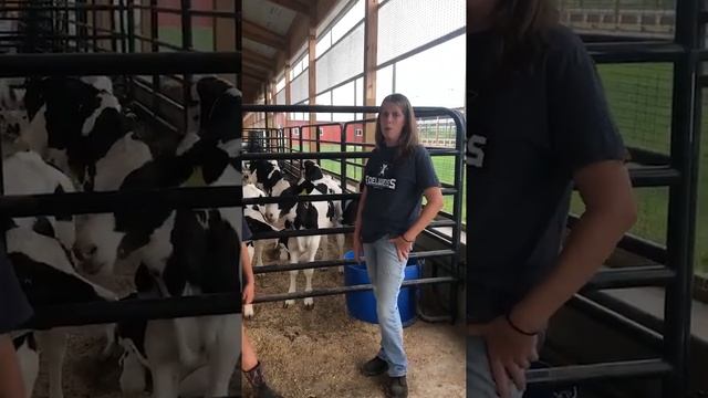 Fun On The Farm | Edelweiss Farm