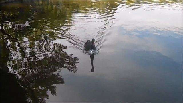 Ах, Морето смотреть онлайн