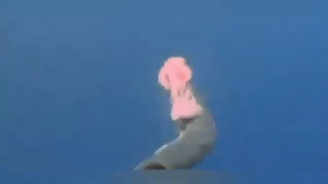 The Great BARRACUDA; Underwater deadliest predator смотреть онлайн