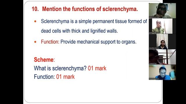 I PU - BT1 - Biology Test Paper Discussion by CAM Faculty смотреть онлайн