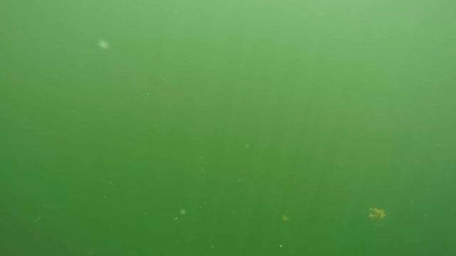HOT Afternoon Largemouth SLAM FEST With UNDERWATER RELEASE FOOTAGE!