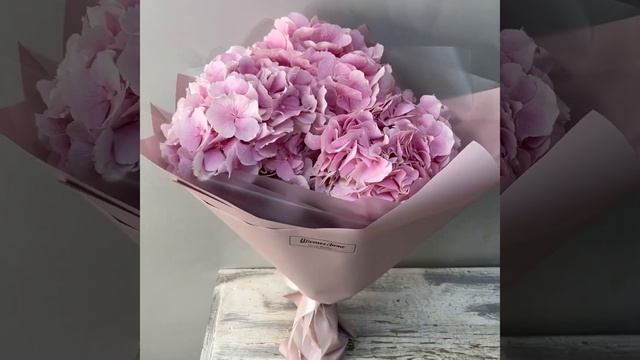 Розовый блик, гортензии