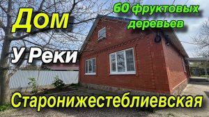 ДОМ У РЕКИ/ 60 фруктовых деревьев/ ст. СТАРОНИЖЕСТЕБЛИЕВСКАЯ