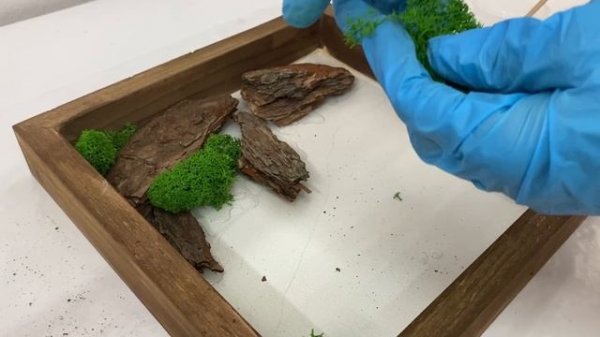 Обновленный зонт