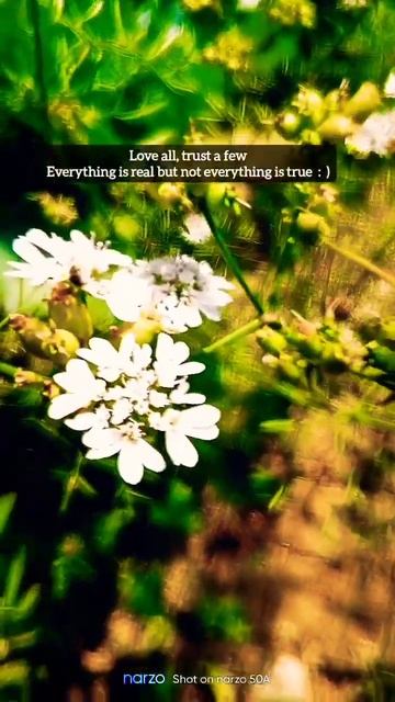 Ye duniya tumhi ho : ) Nature love #life #motivation #satisfying смотреть онлайн