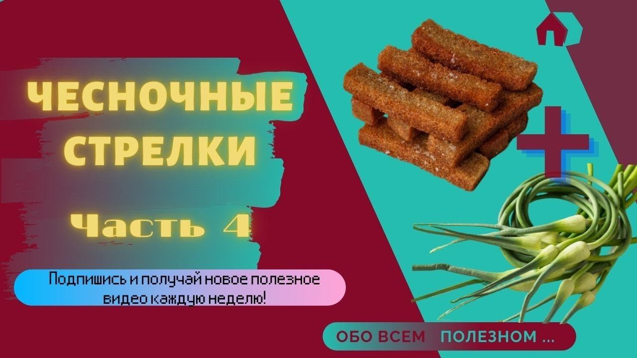 БЛЮДА ИЗ ЧЕСНОЧНЫХ СТРЕЛОК.  Рецепт №4