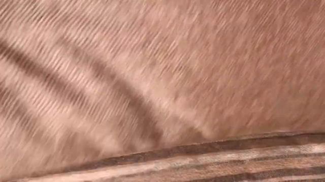 5 ТАЙНИКОВ ДЛЯ ДЕНЕГ