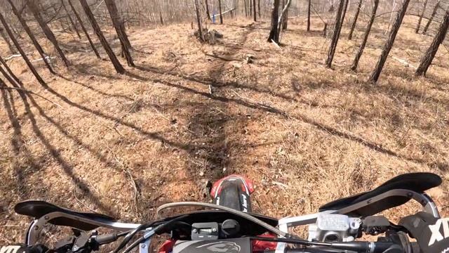 Биджа.Серебро. 13.04.2025г