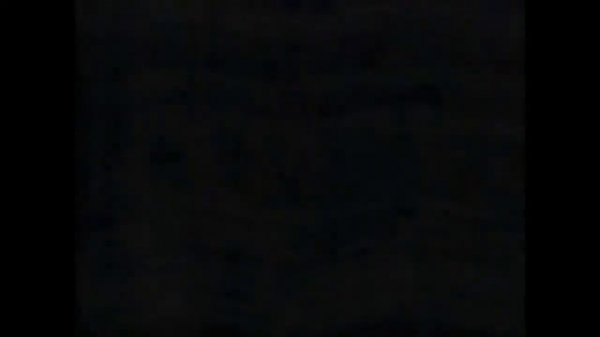 1995 20th Century Fox Home Entertainment Effects in Mari Group Effect