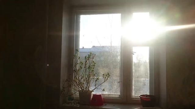 Обзор таунхауса в Пурпе смотреть онлайн