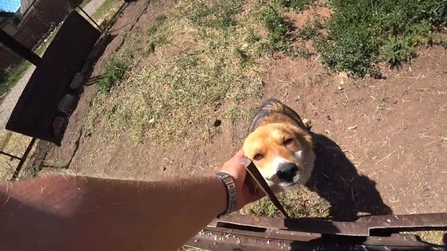 Про ведали Николь,Скай закончил лечиться,ЗНАКОМТЕСЬ,ЖЕЛЕЗНЫЙ АРНИ!!! смотреть онлайн