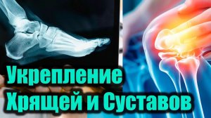 Звуковая матрица для суставов и хрящей | П. П. Гаряев 5 минут в день